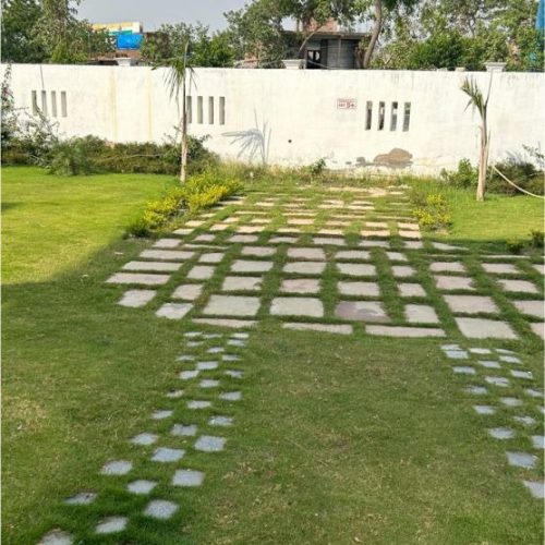 WhatsApp Image 2025-05-24 at 3.21.40 PM (3)